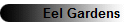Eel Gardens